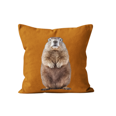 Coussin Marmotte