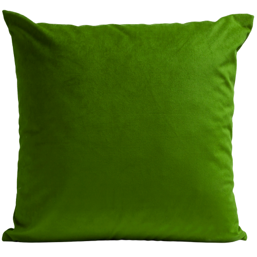 Coussin Uni