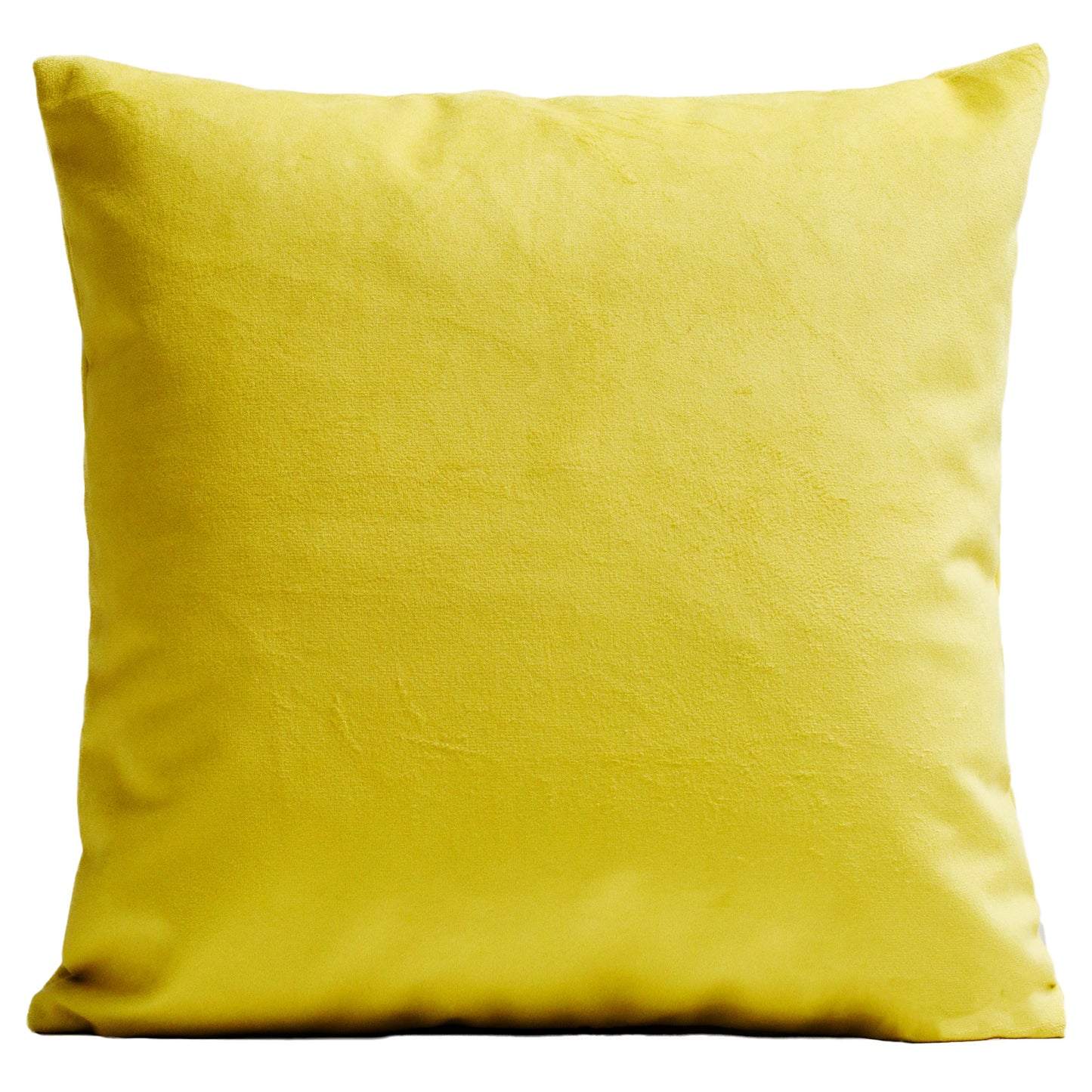 Coussin Uni