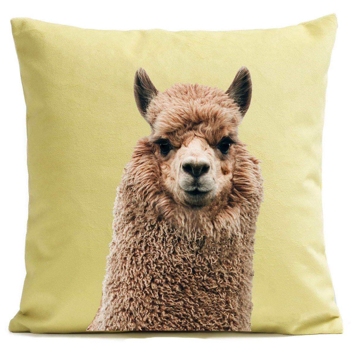 Coussin Alpaga
