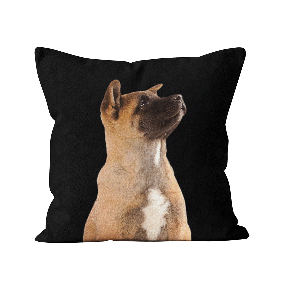 Coussin Charlie