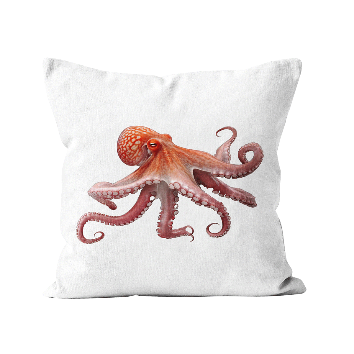 Coussin Gustave le Poulpe