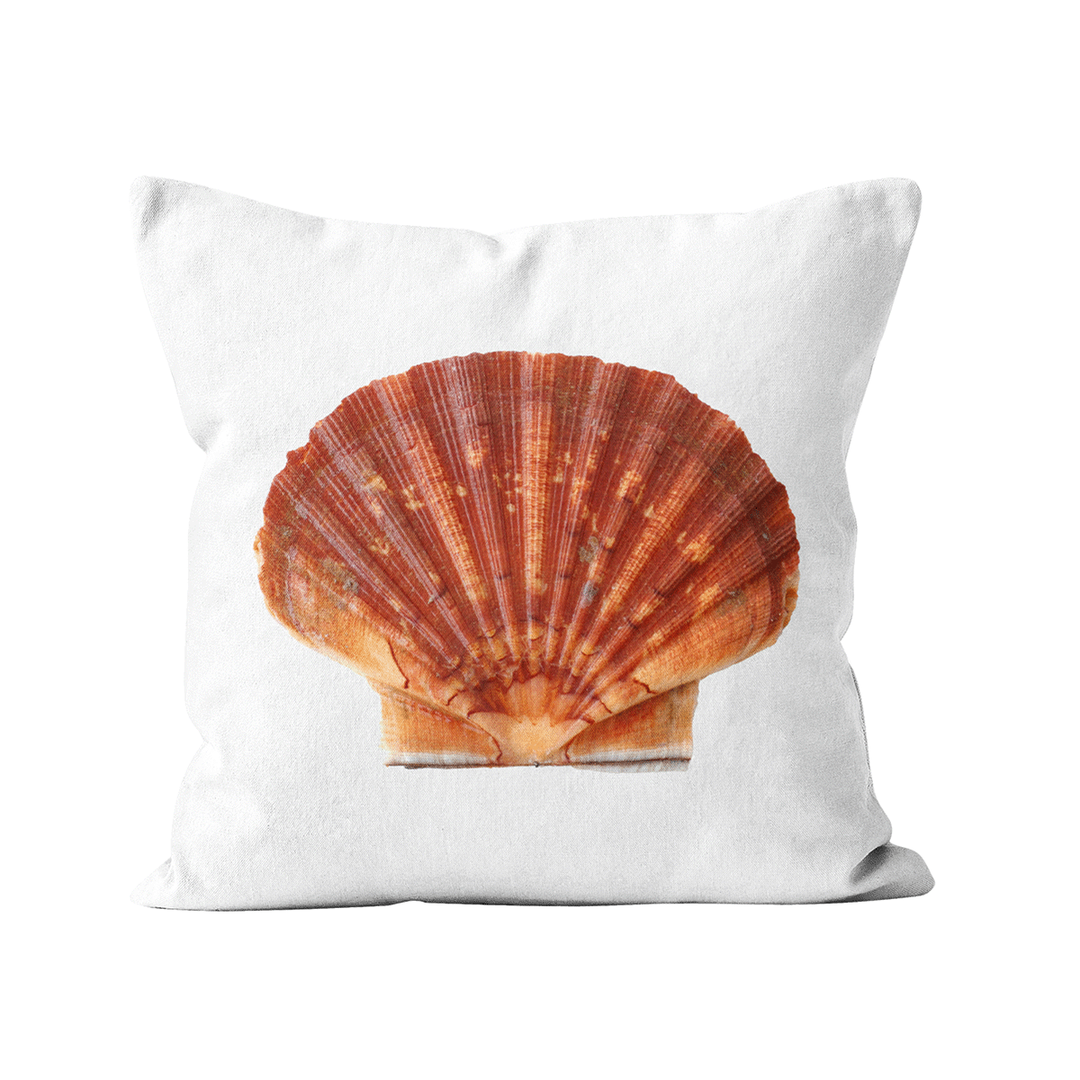 Coussin Jacques la Coquille