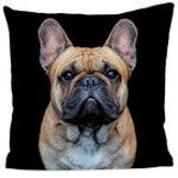 Coussin Georges