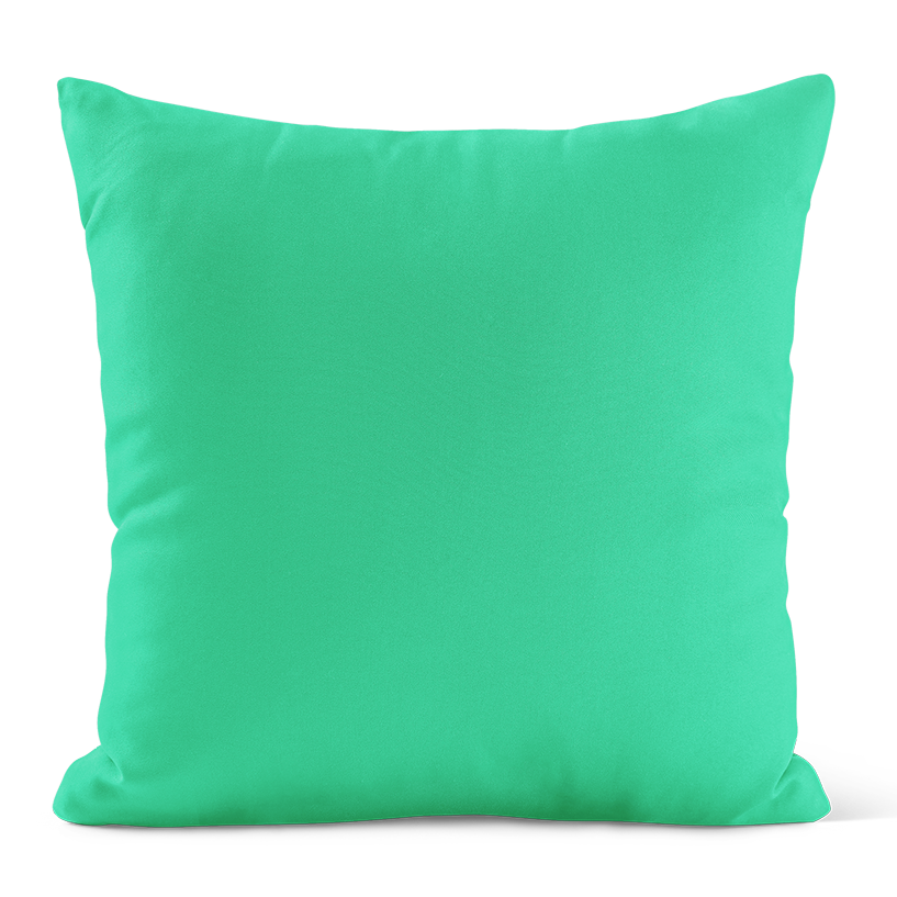 Coussin plume de Paon