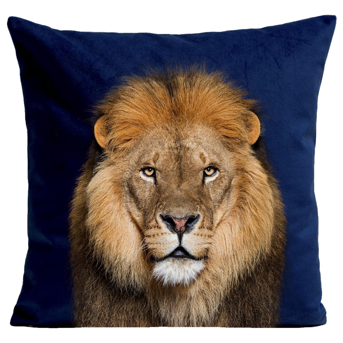 Coussin Lion King