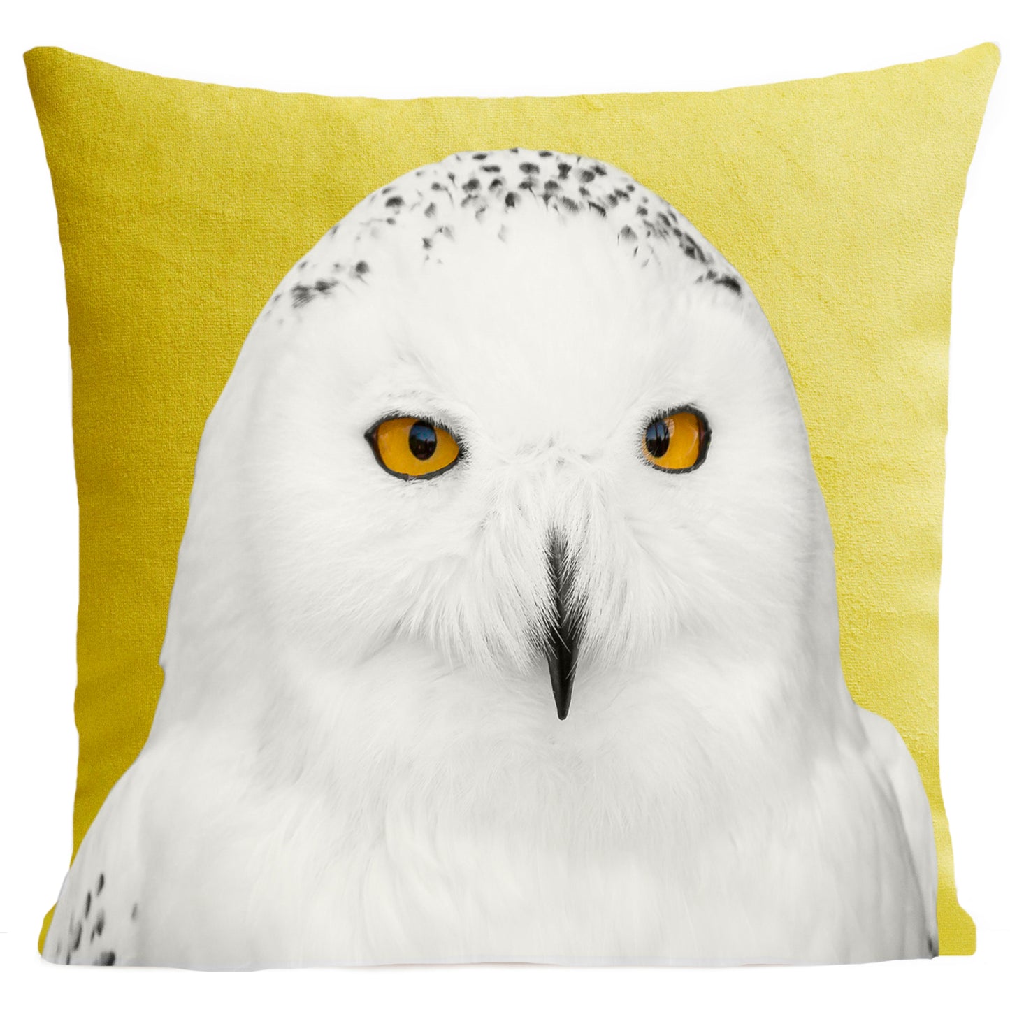 Coussin Snowy Owl