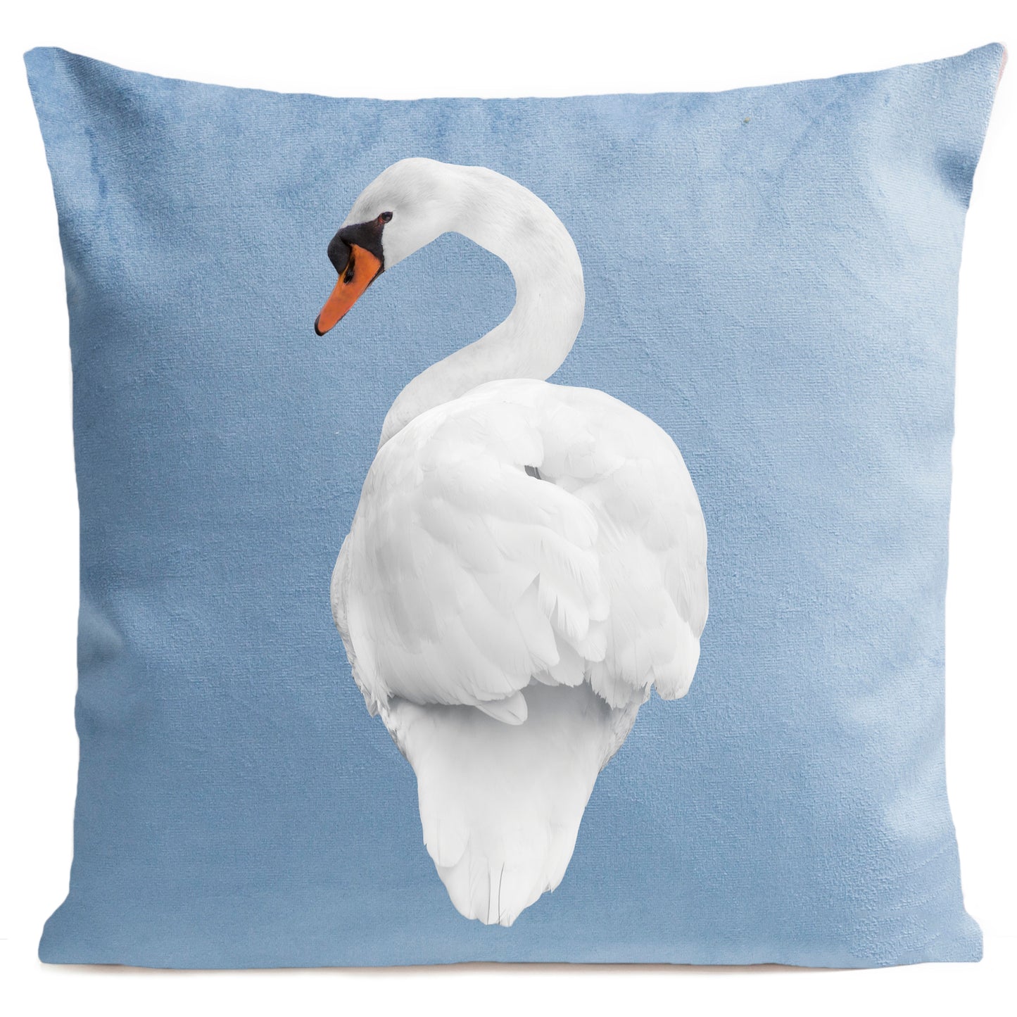 Coussin Swan
