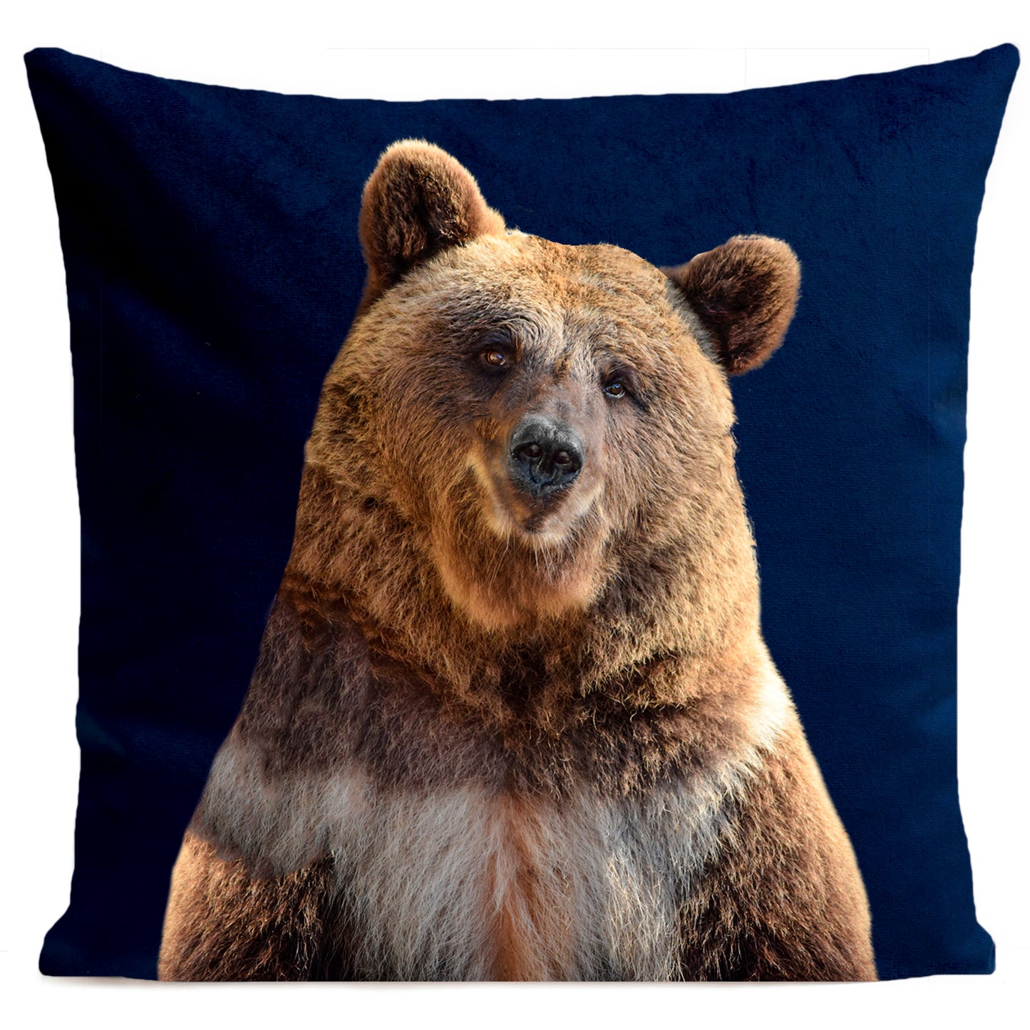 Coussin Mister Bear