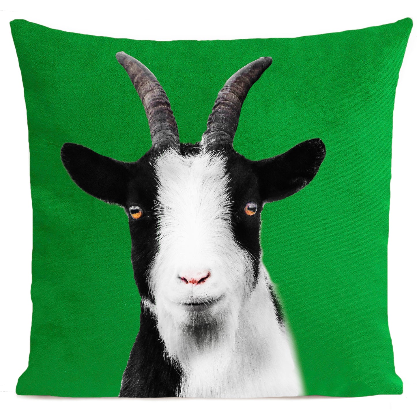 Coussin Baby Goat