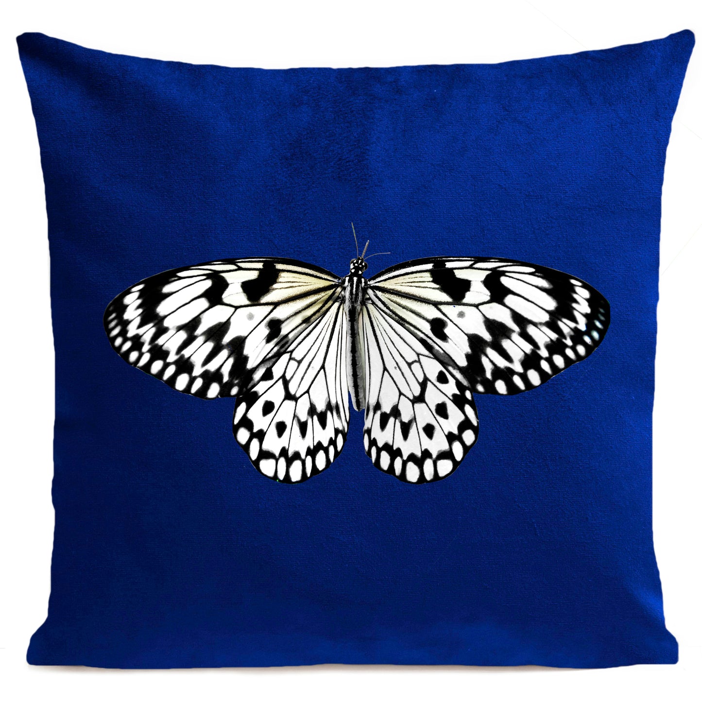 Coussin White Butterfly