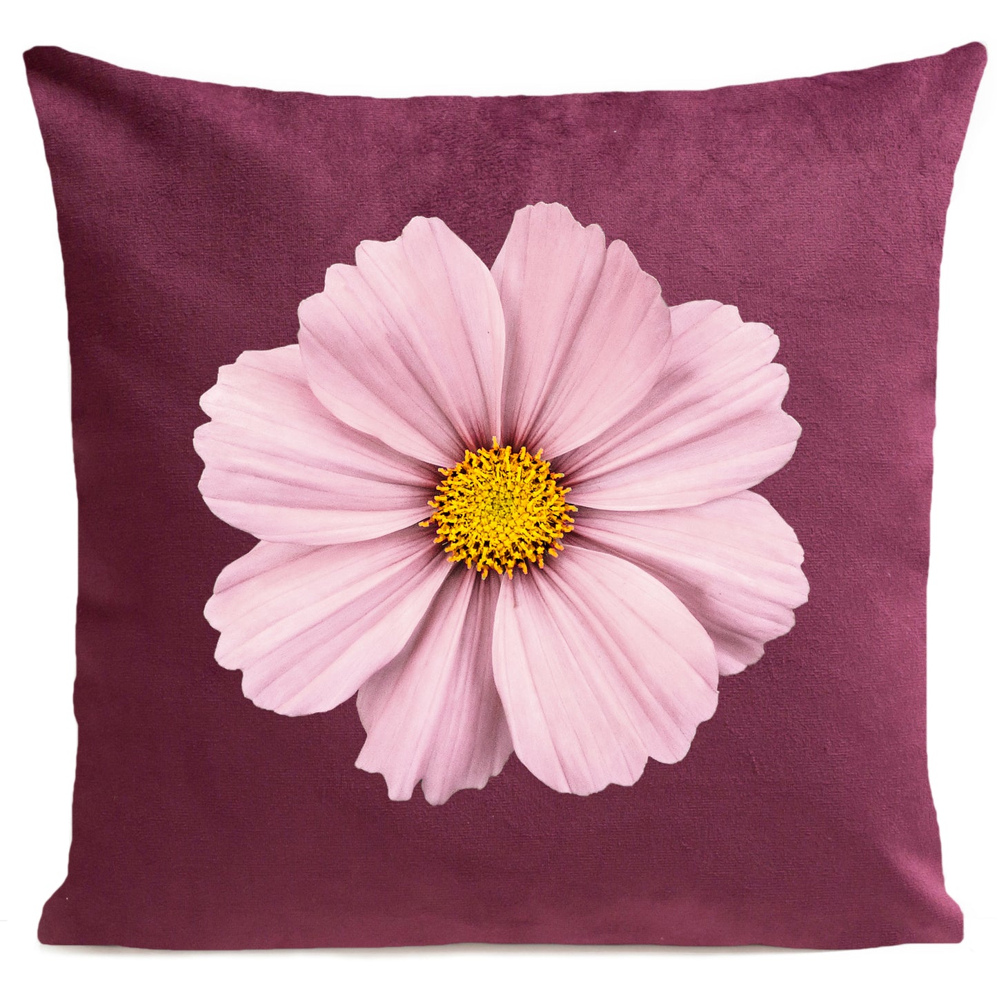 Coussin Rock Rose