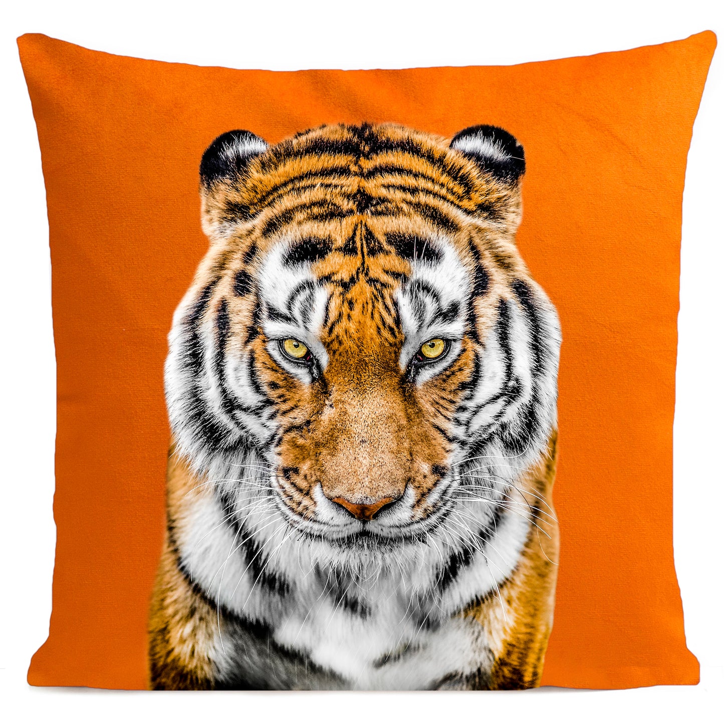 Coussin Tiger