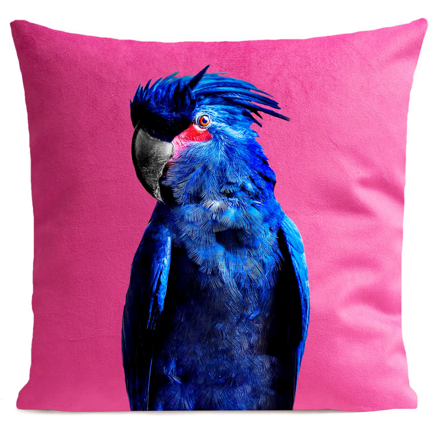 Coussin Punky Parrot
