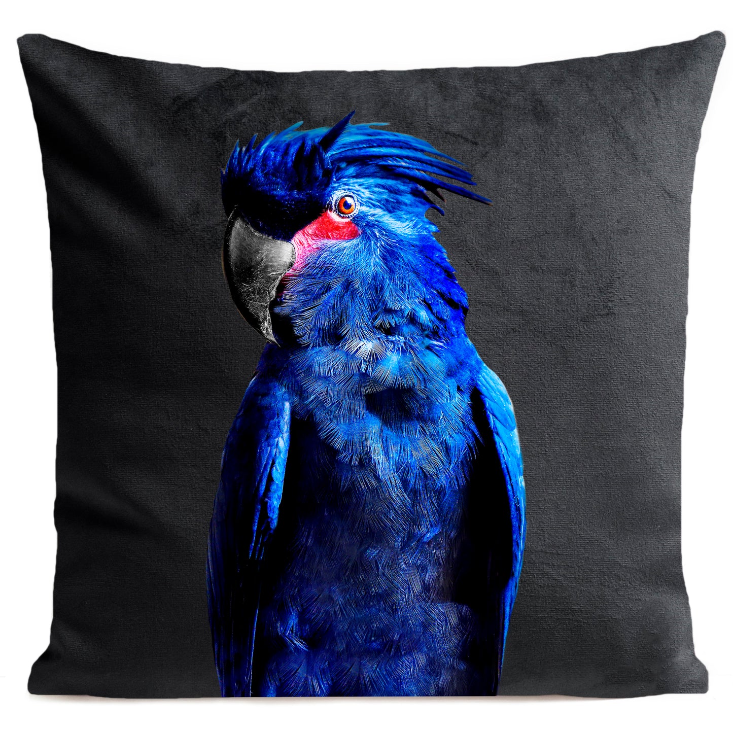 Coussin Punky Parrot