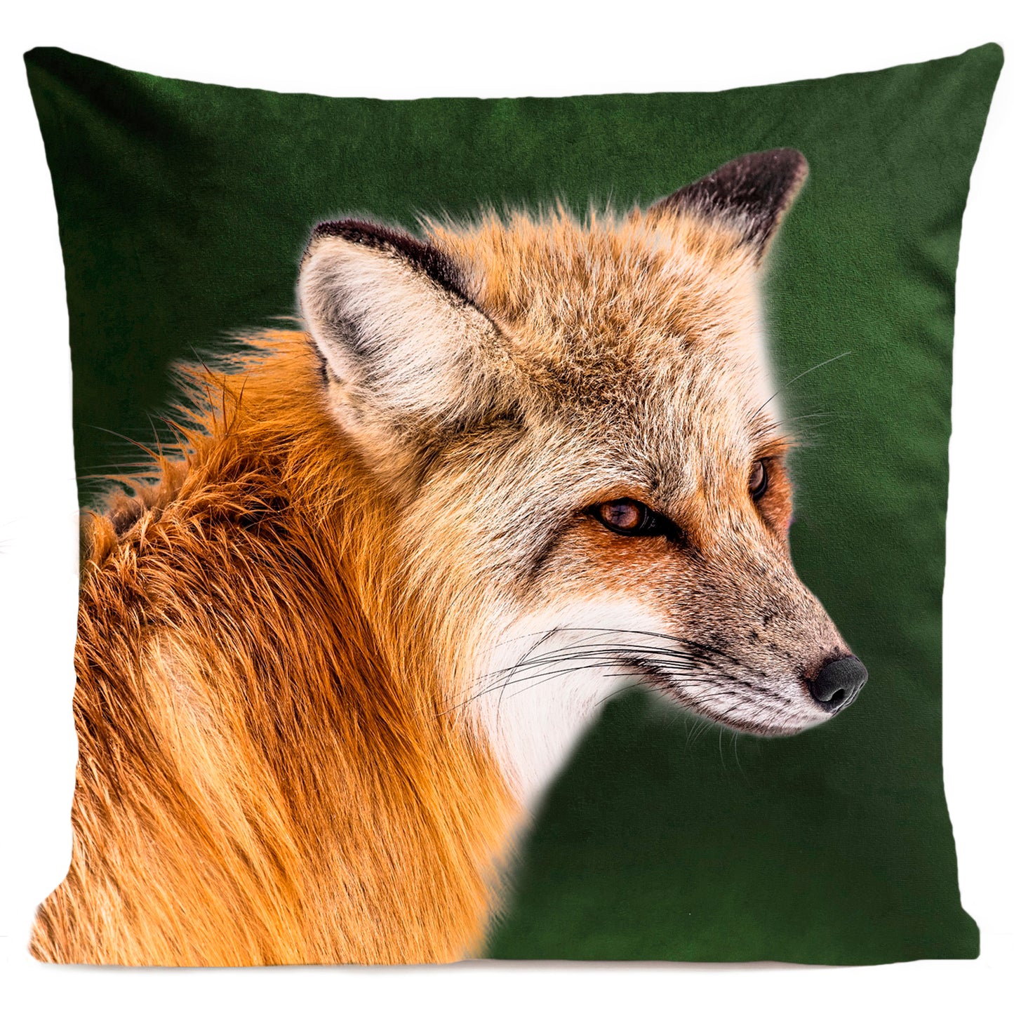 Coussin Foxy
