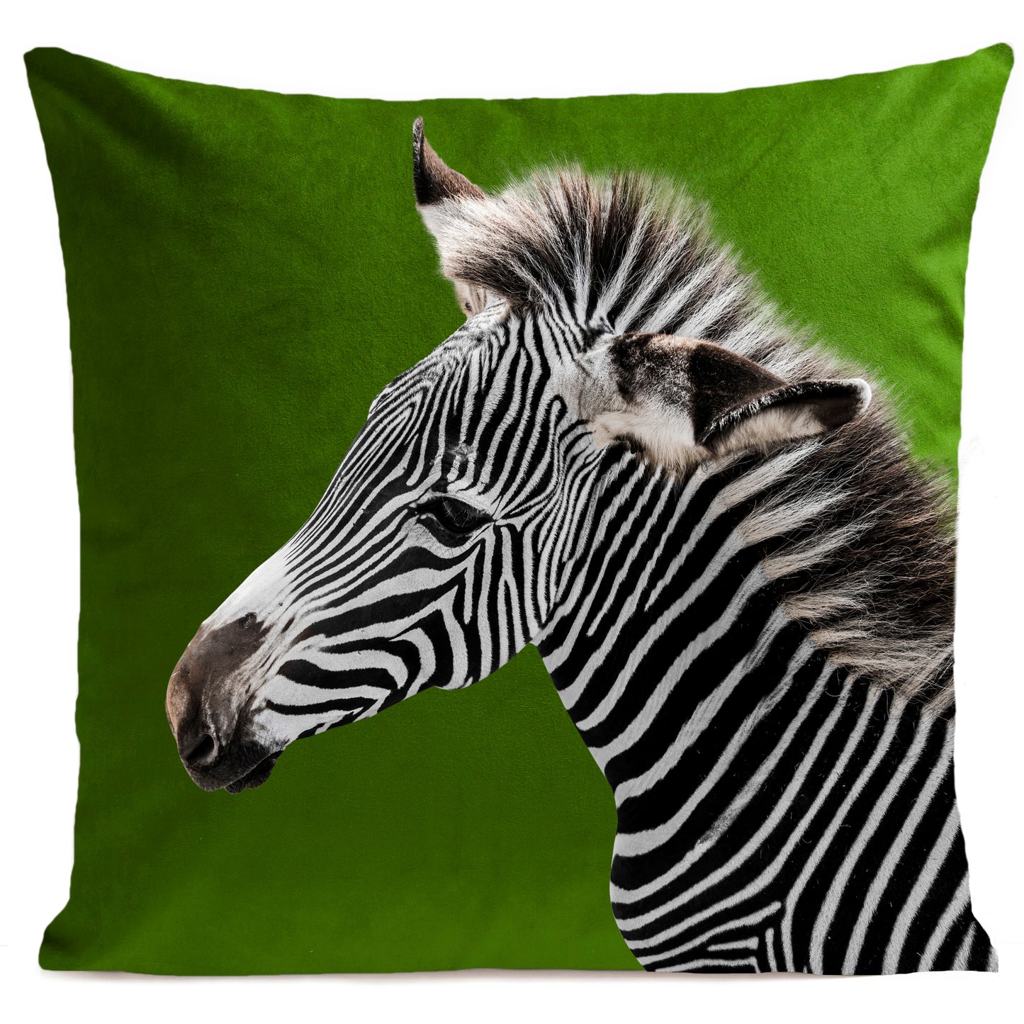 Coussin Zebra