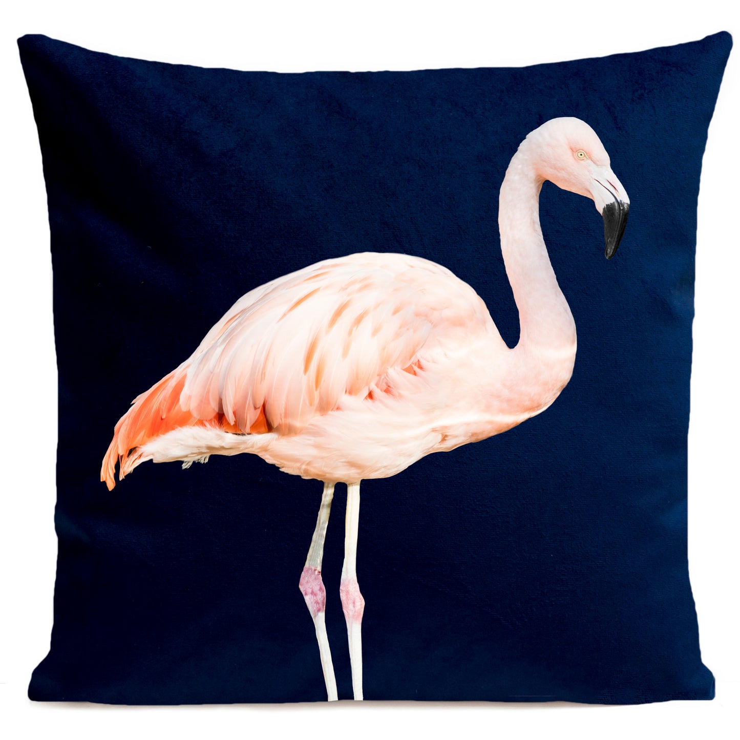 Coussin Pink Flamingo