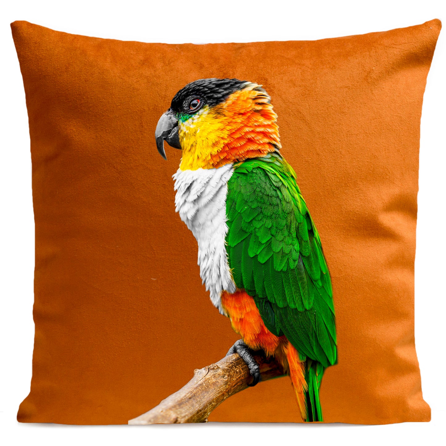 Coussin Coco