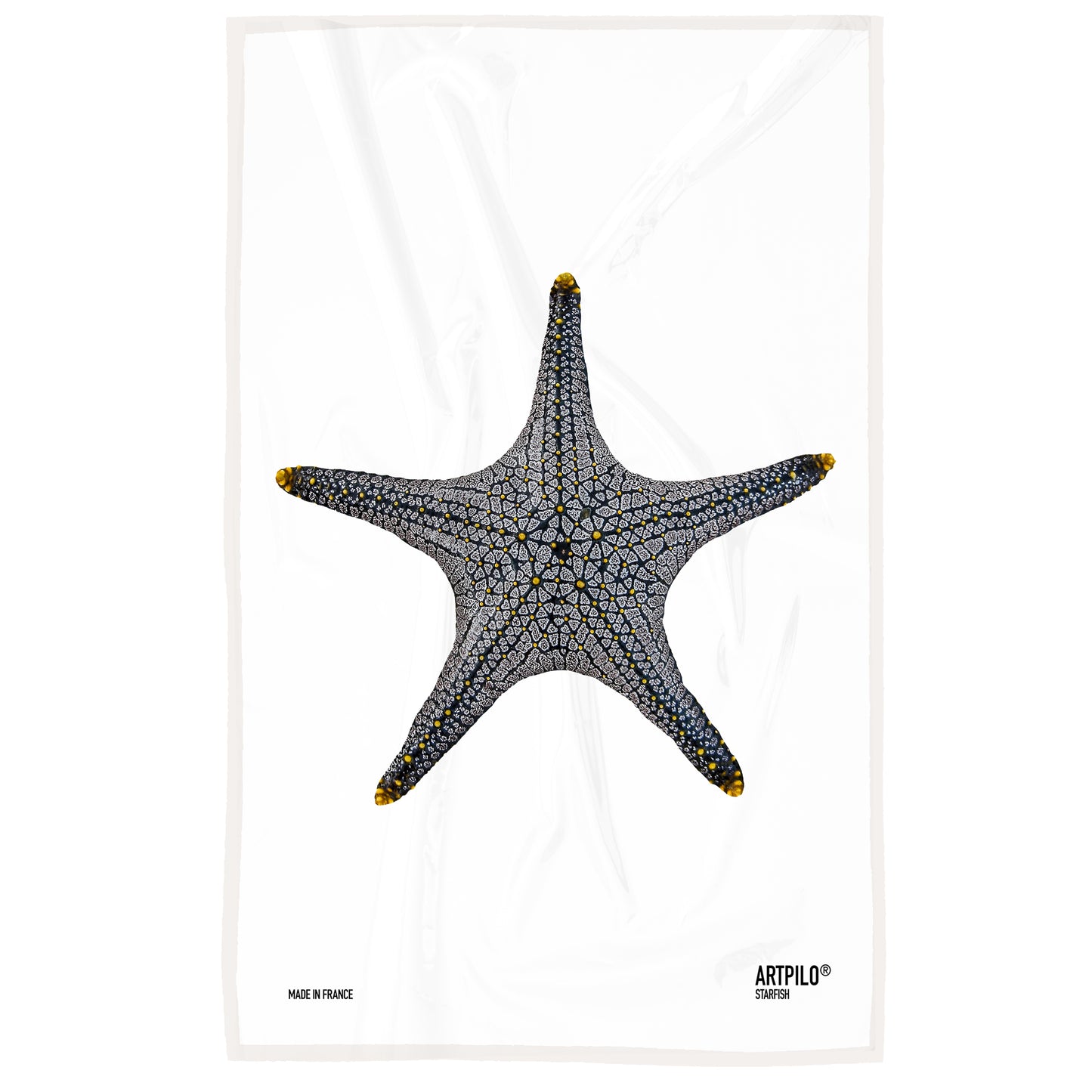 Torchon Star Fish