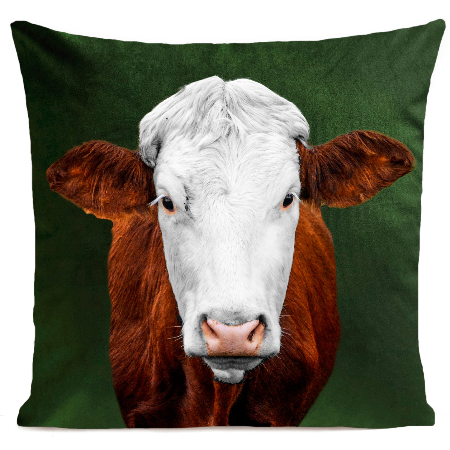 Coussin Miss Cow
