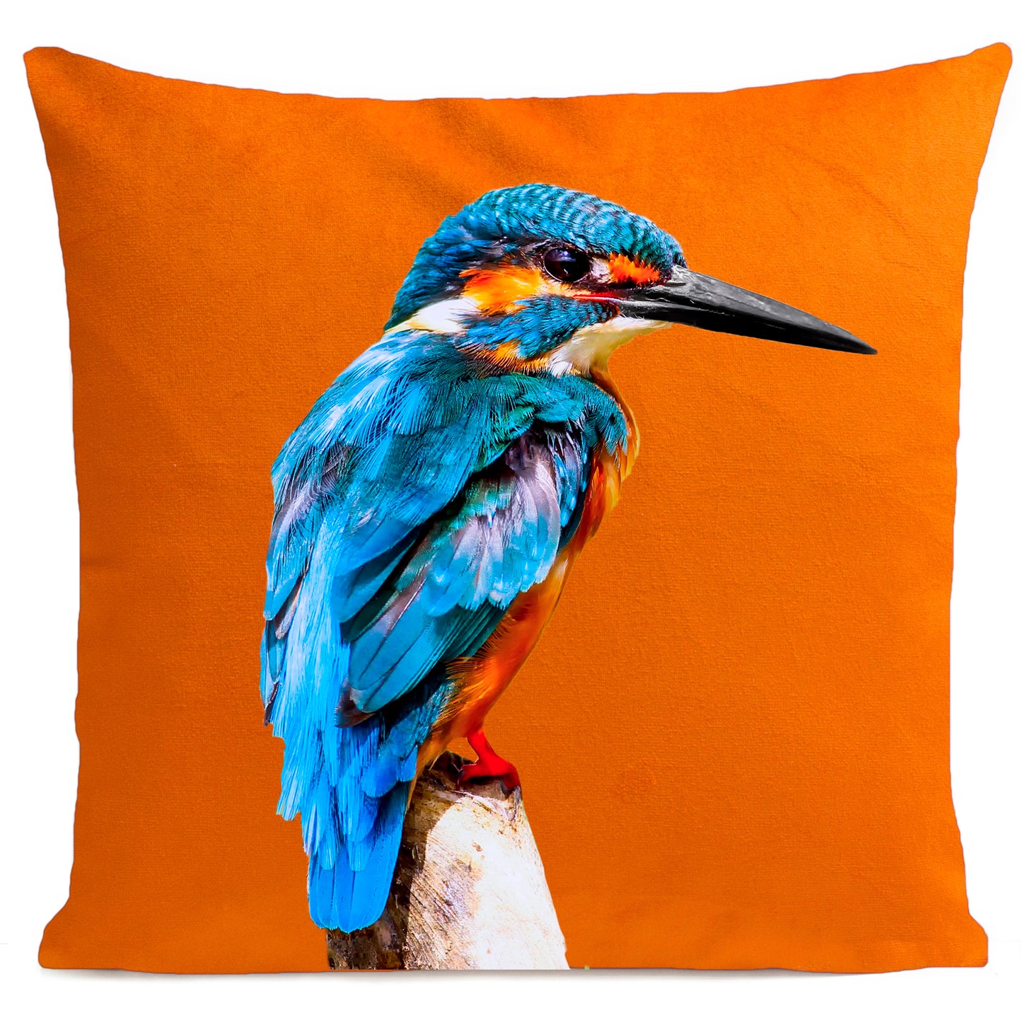 Coussin Little Blue Bird