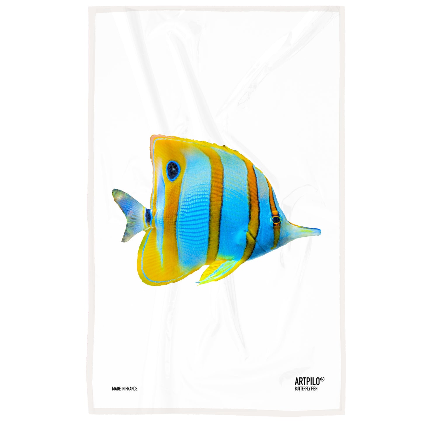 Torchon Butterfly Fish