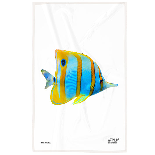Torchon Butterfly Fish