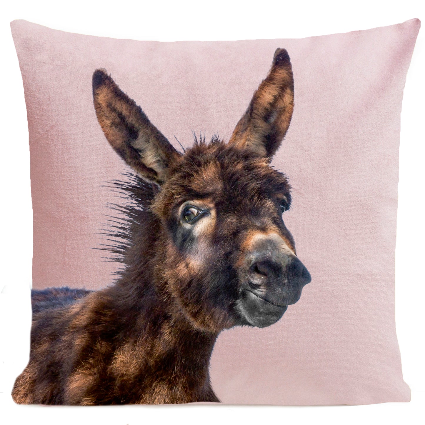 Coussin Baby Donkey