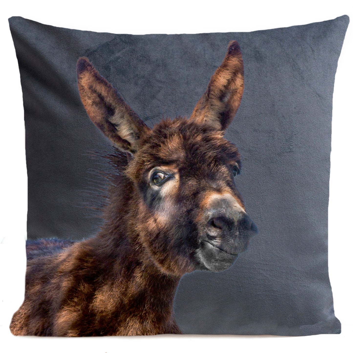 Coussin Baby Donkey