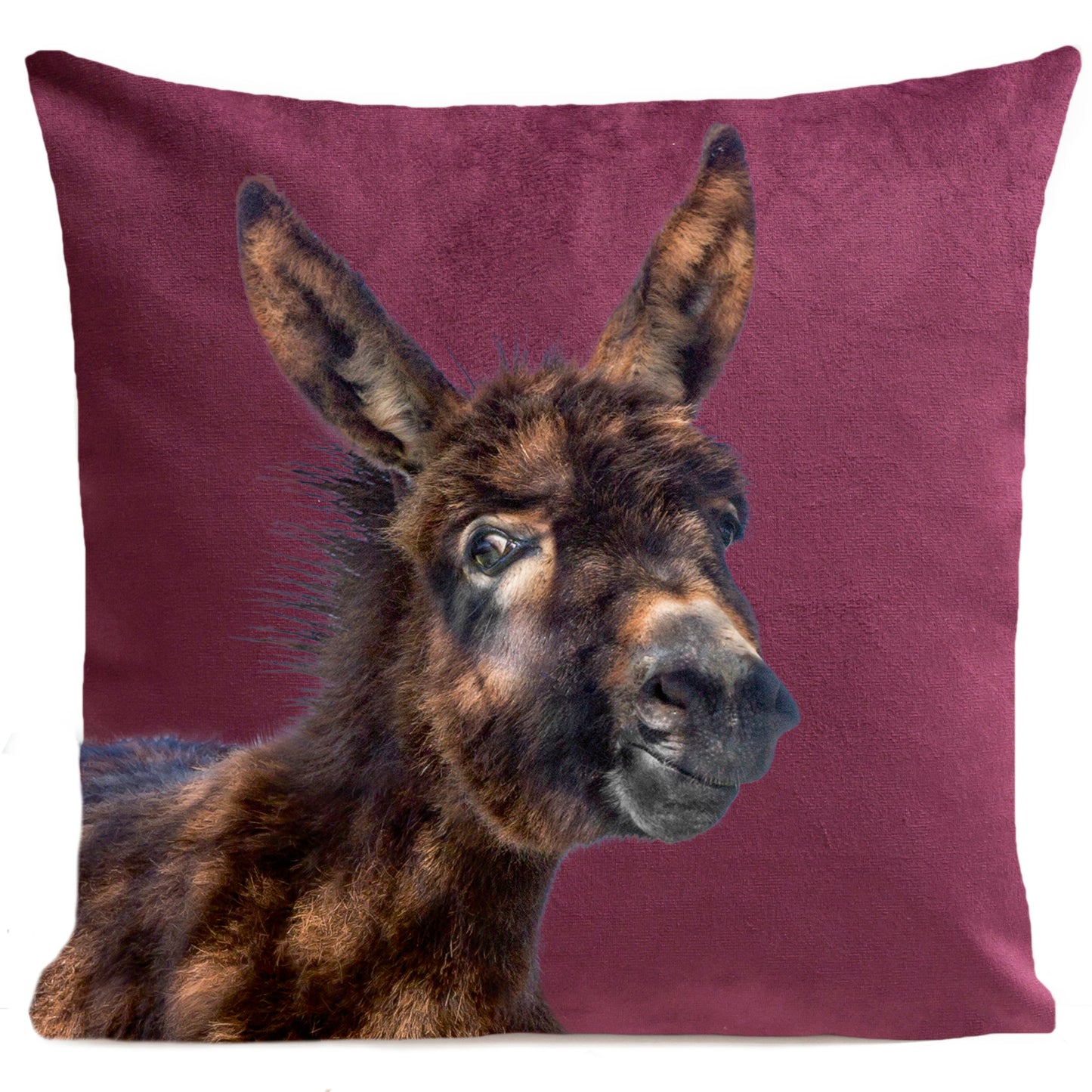 Coussin Baby Donkey