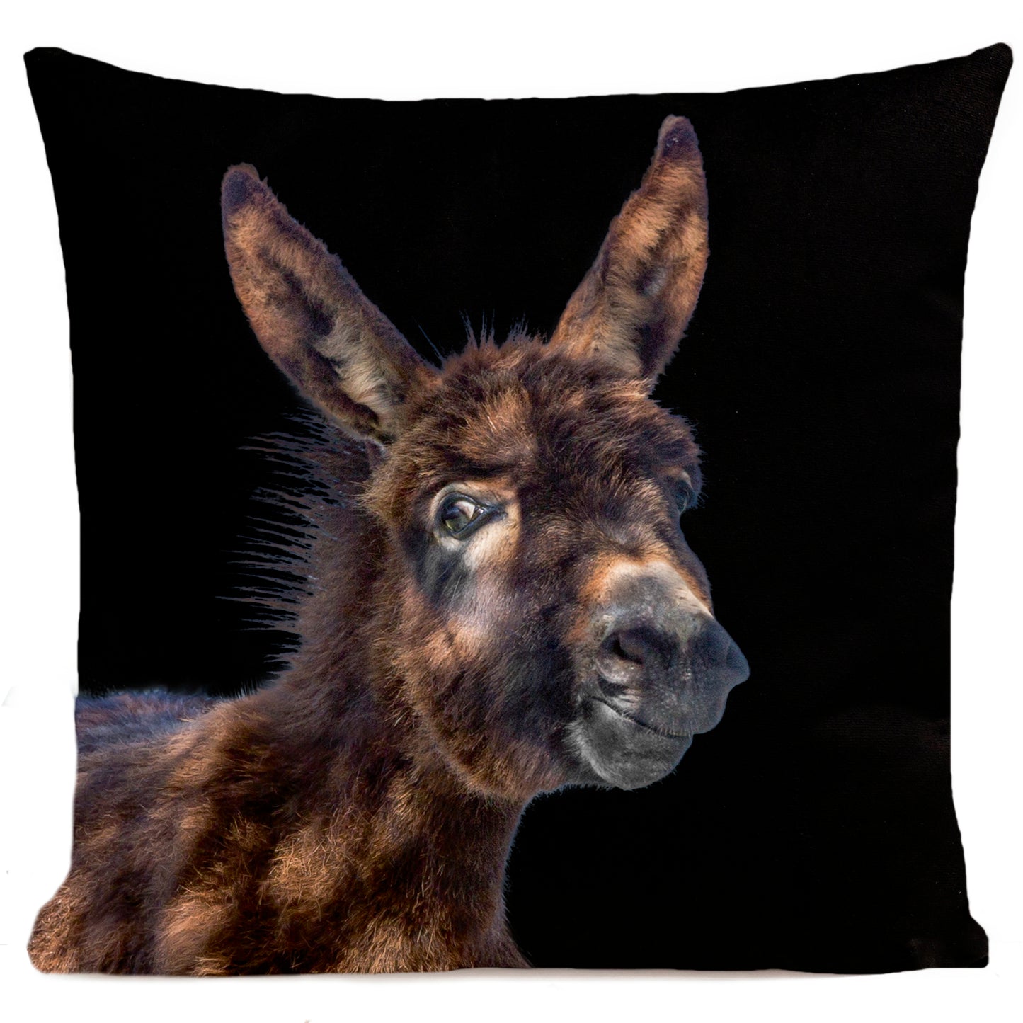 Coussin Baby Donkey