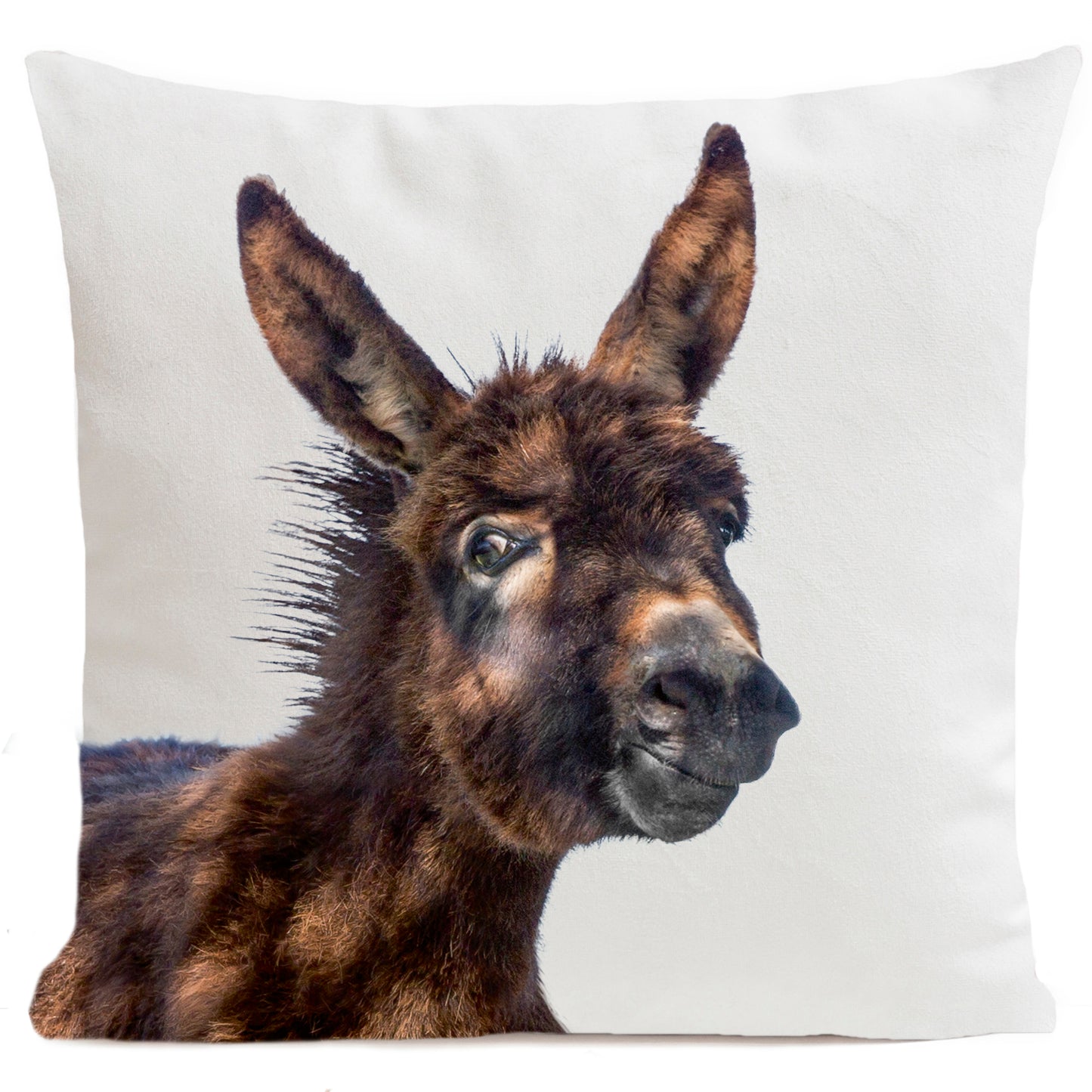 Coussin Baby Donkey