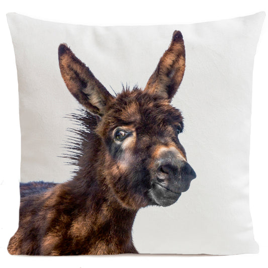 Coussin Baby Donkey