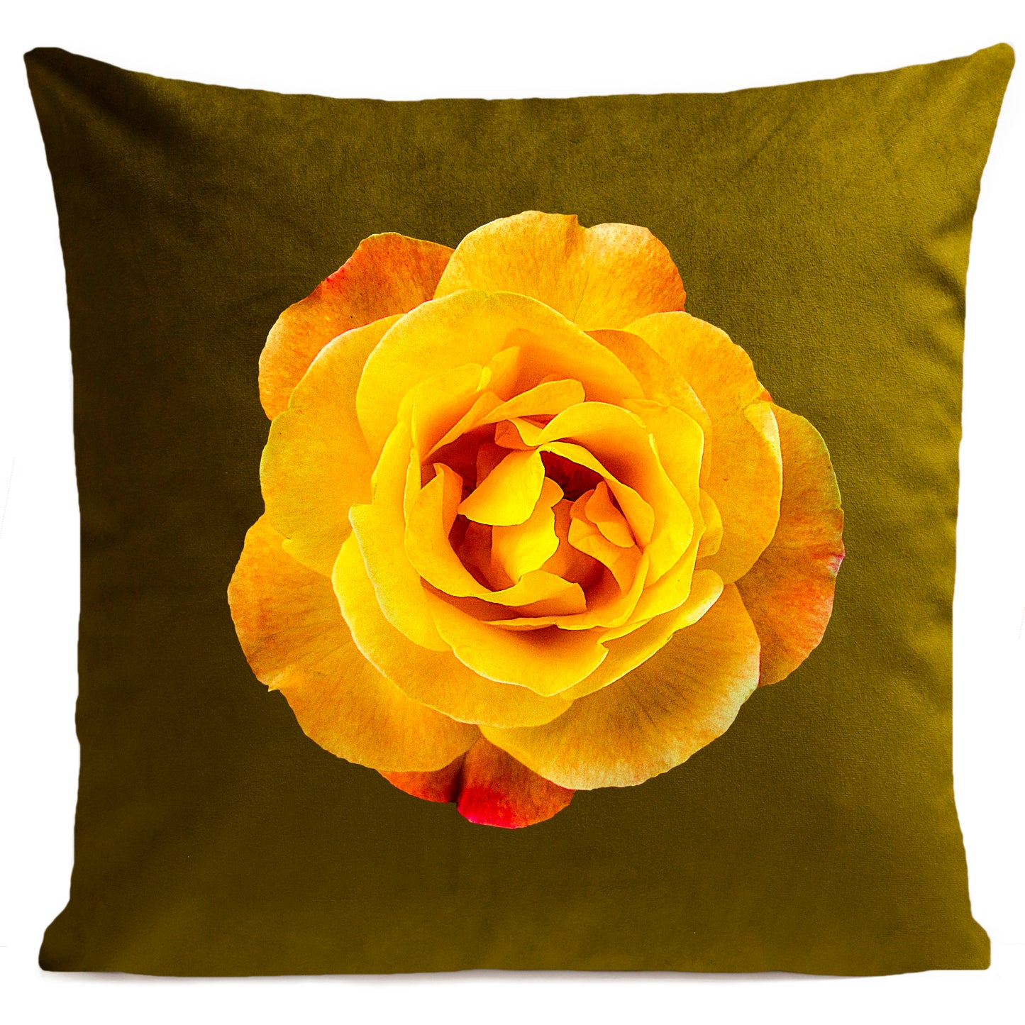 Coussin Rock Rose