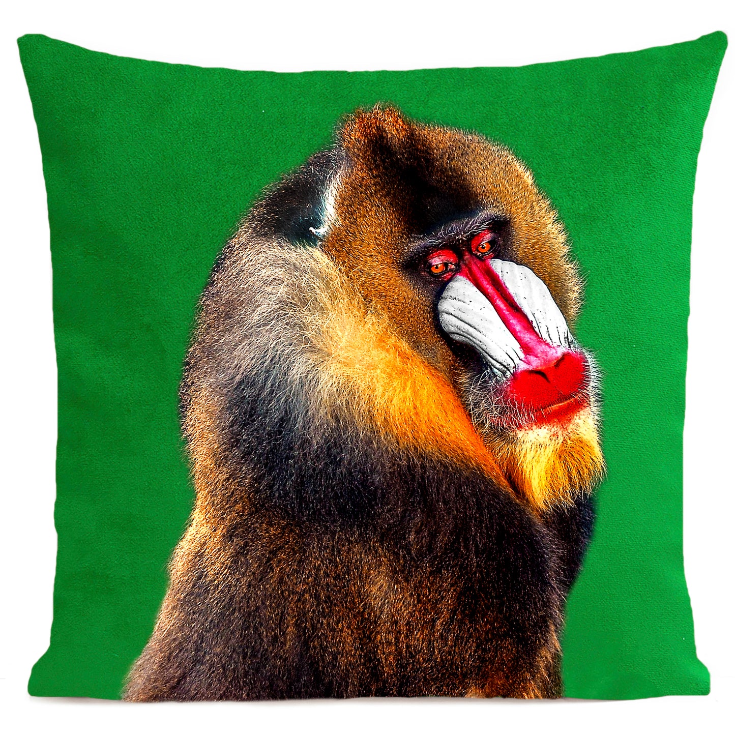 Coussin Bobo