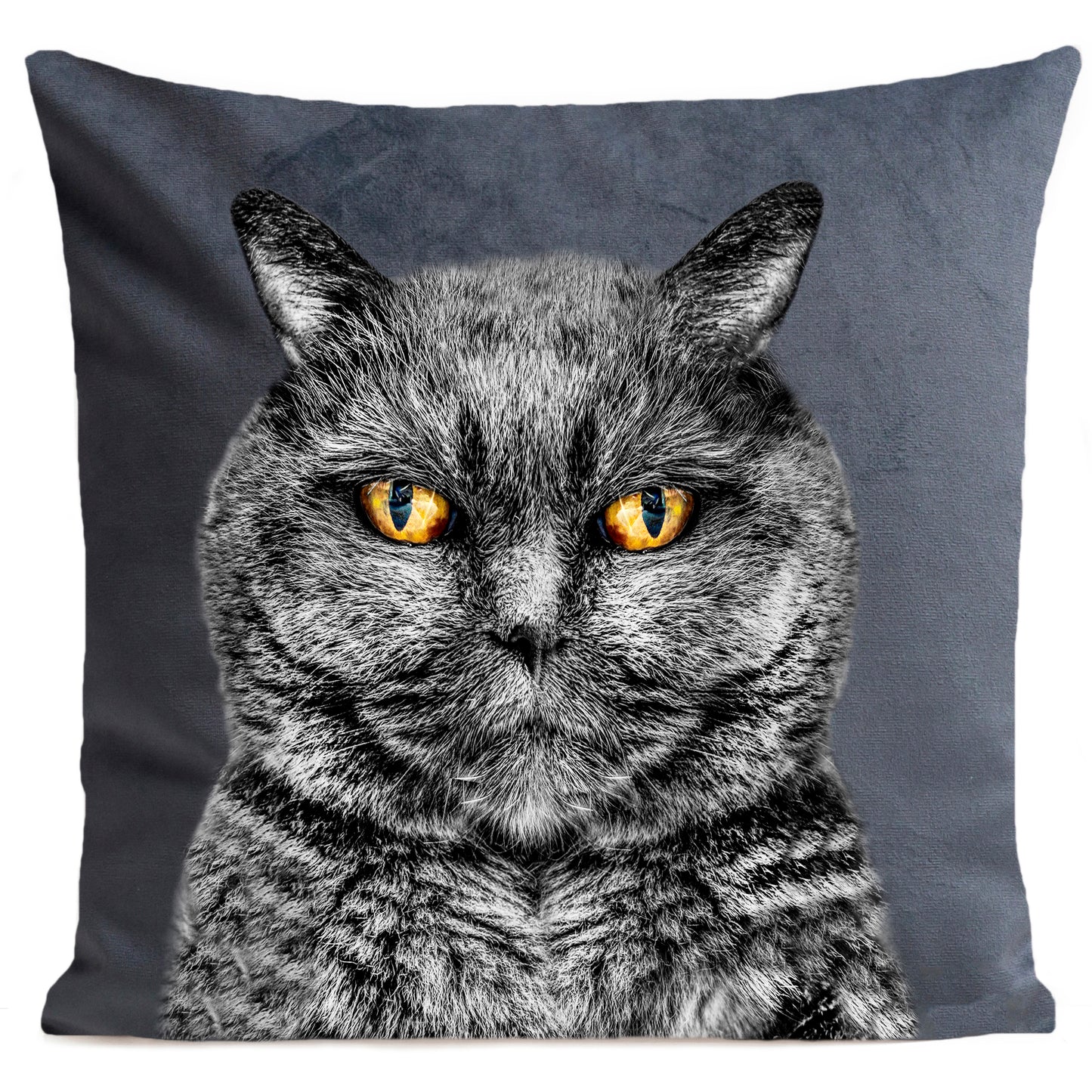 Coussin Edgar