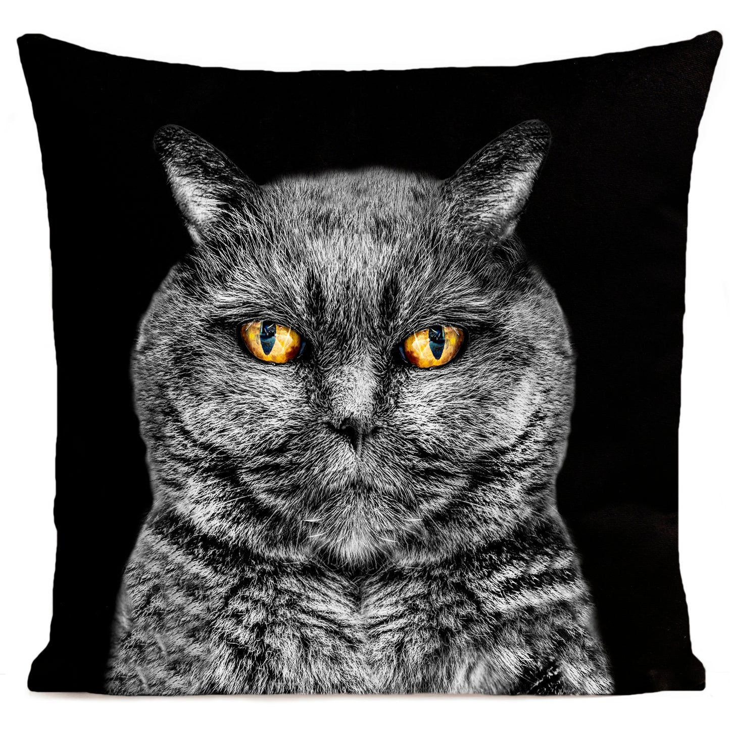 Coussin Edgar