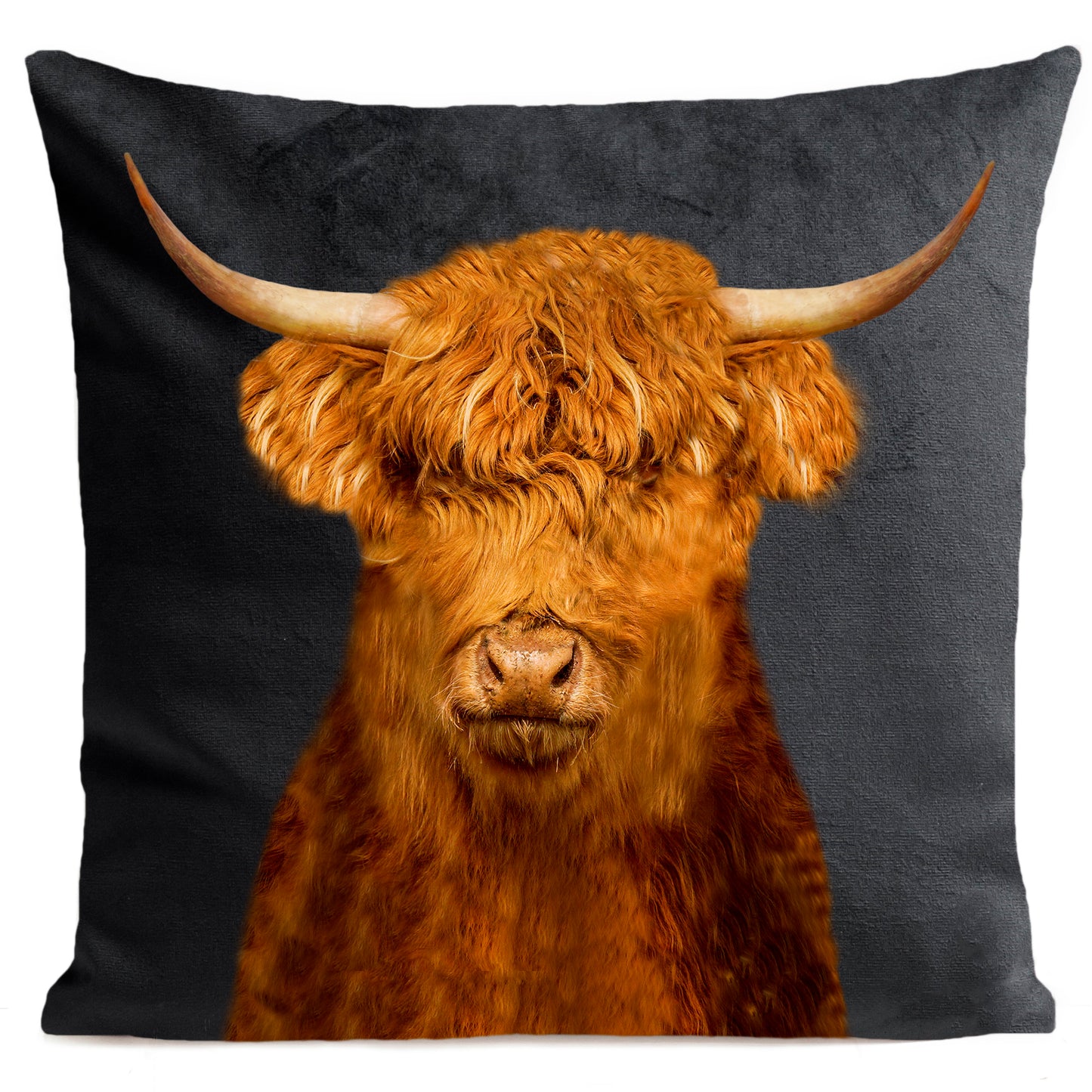 Coussin Highlander