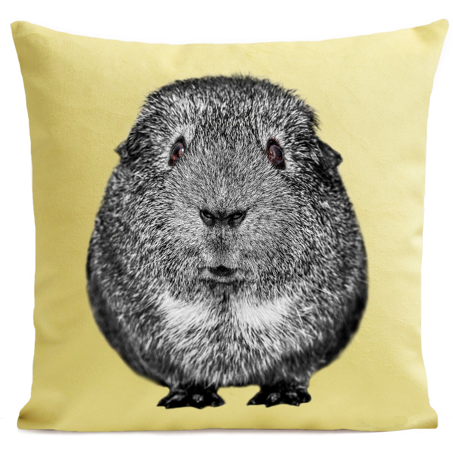 Coussin Quenotte