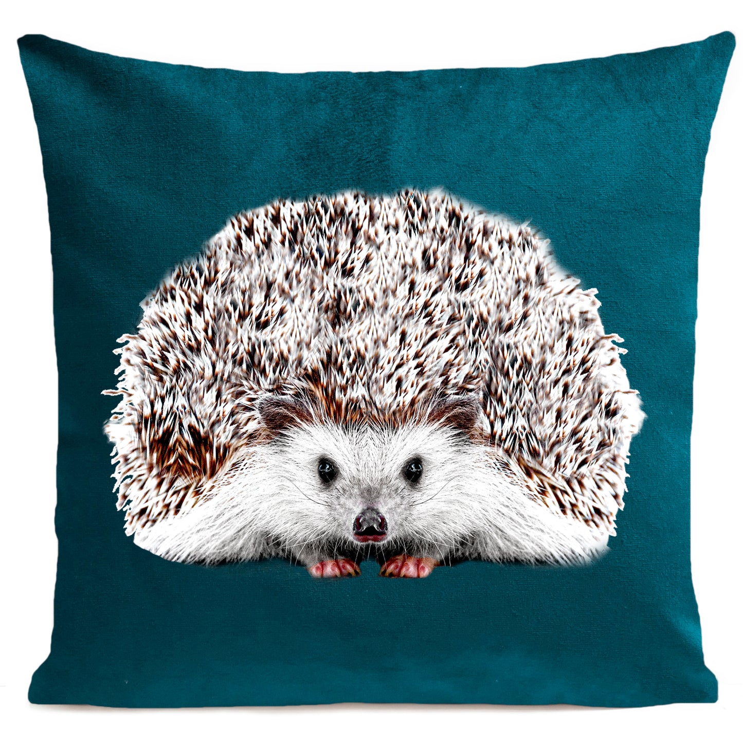 Coussin Picou