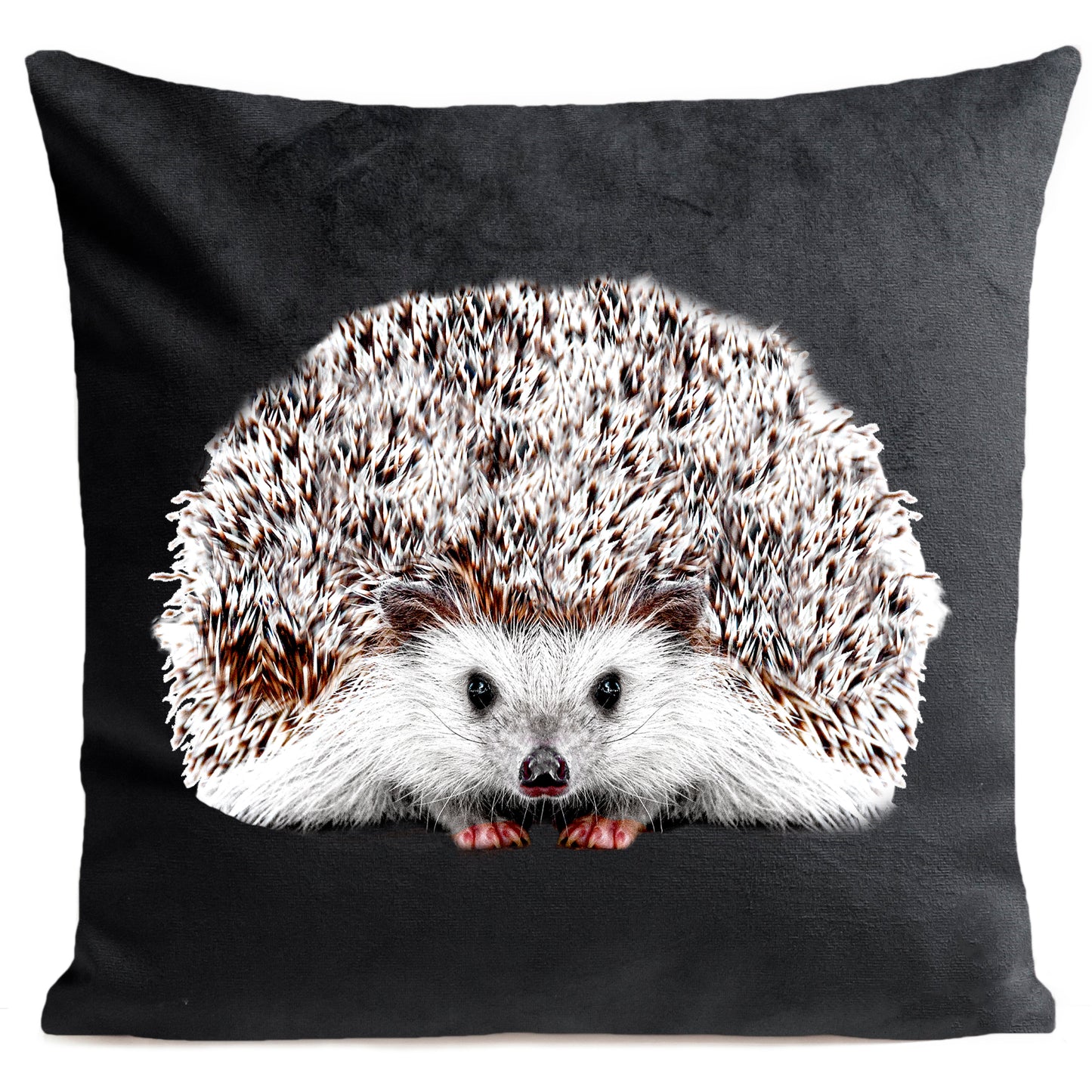 Coussin Picou