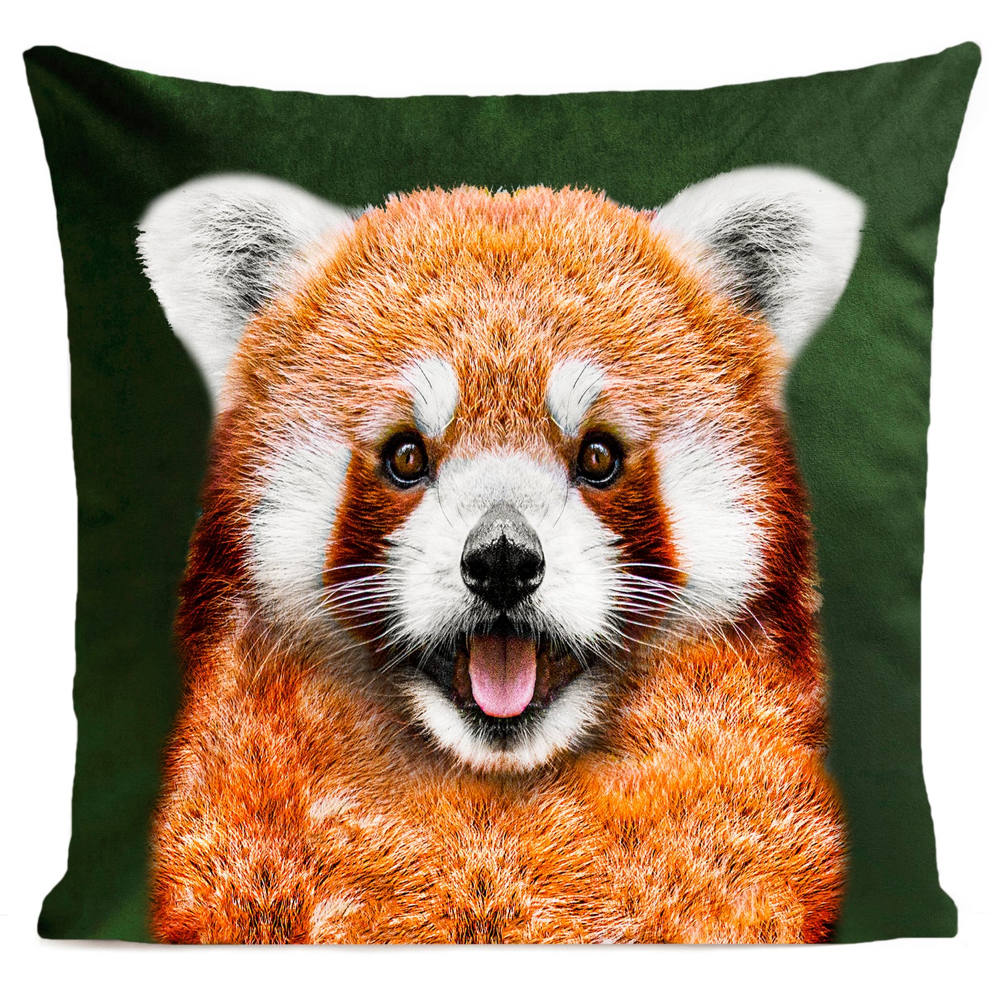 Coussin Pandinou