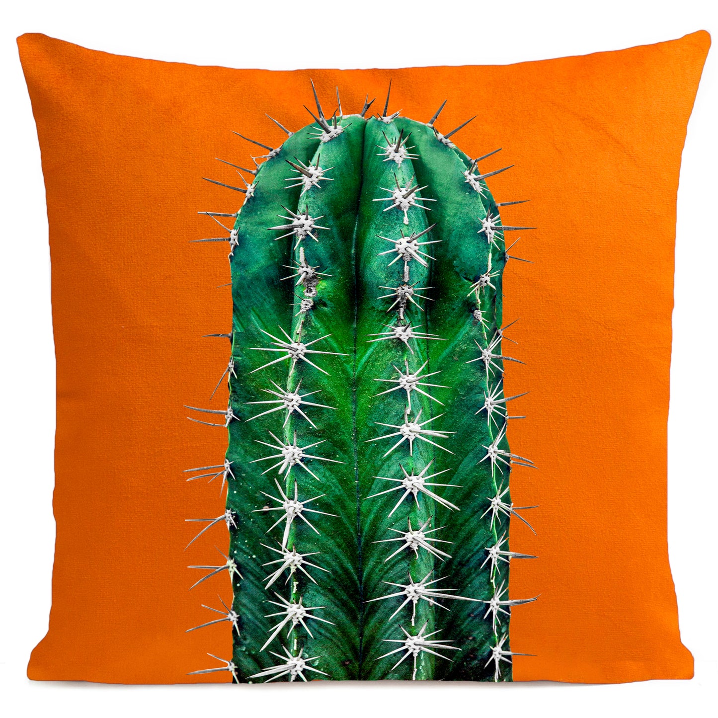 Coussin Cactus
