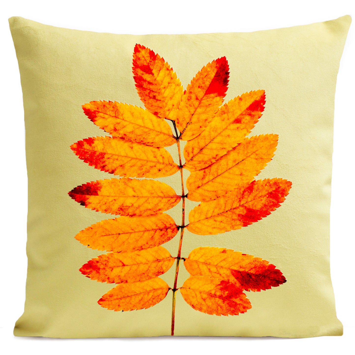 Coussin Orange Leaves