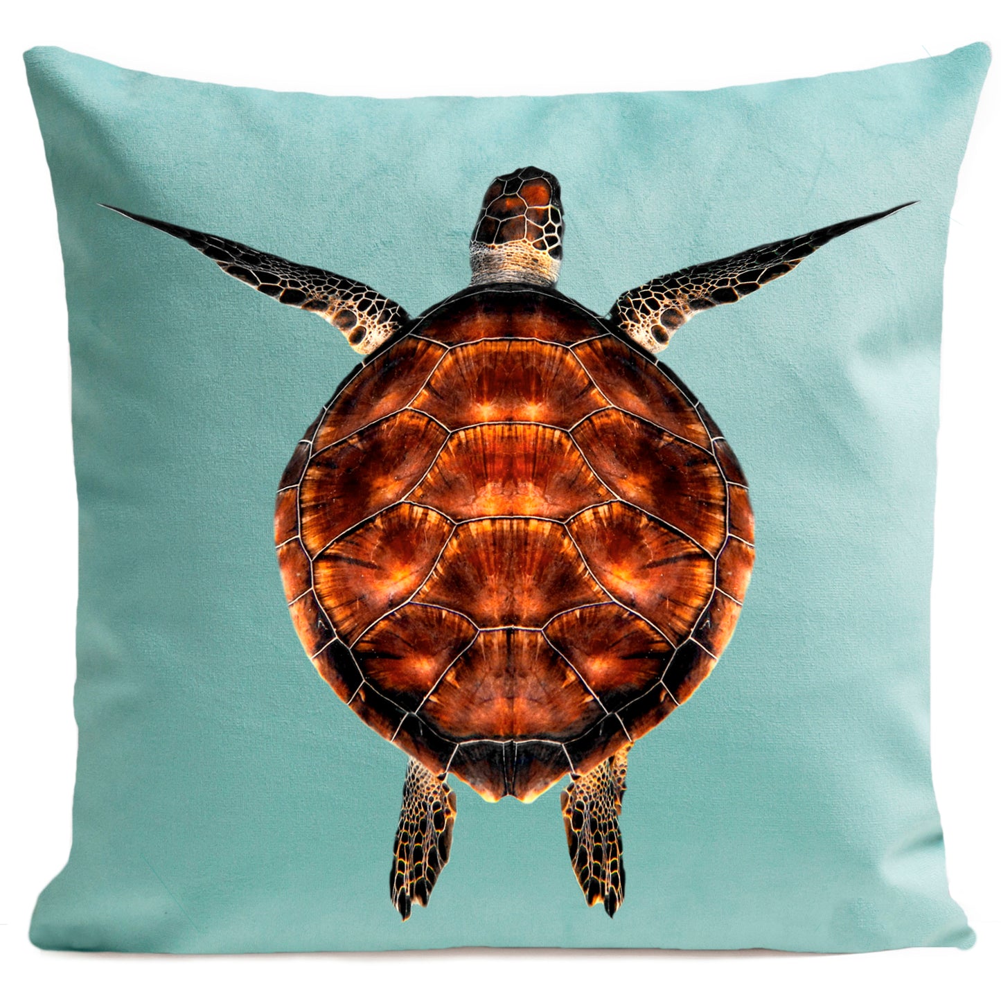 Coussin Miss Turtle