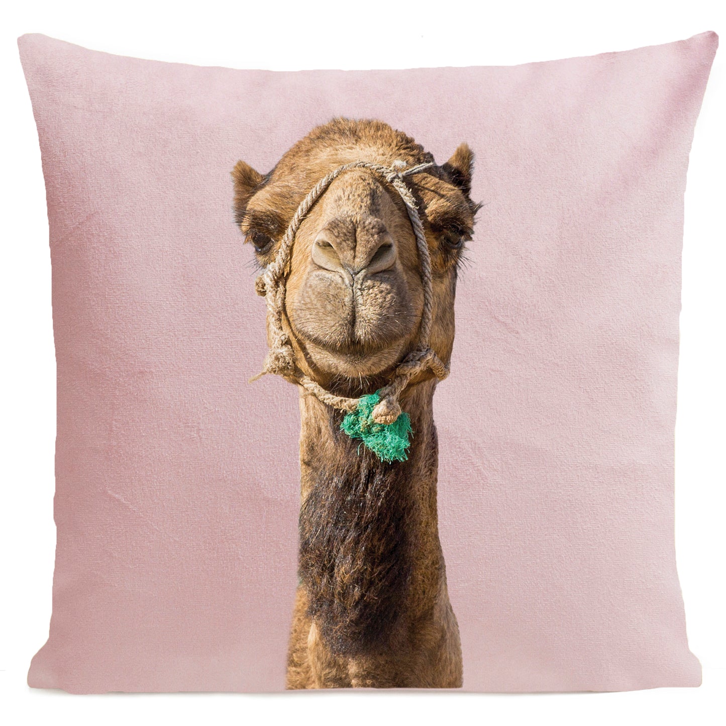 Coussin Smiling Camel