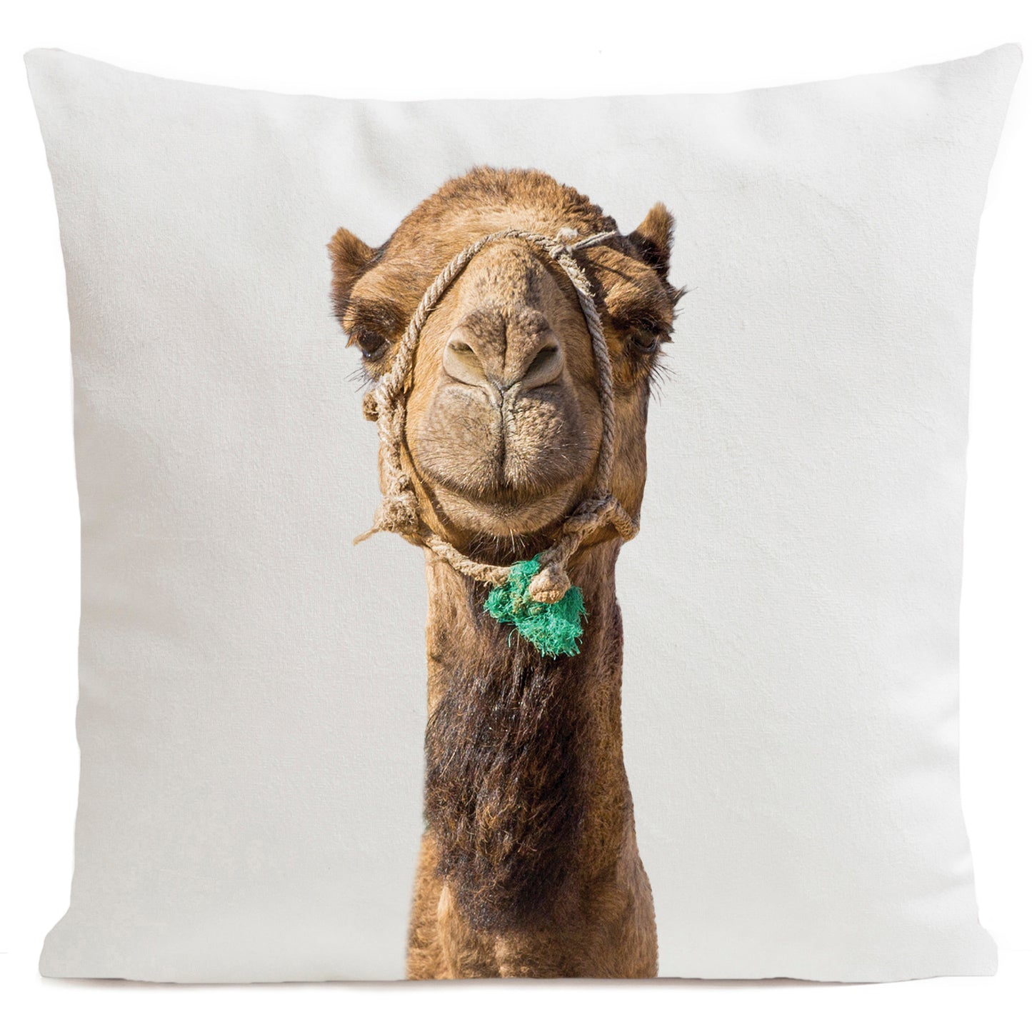 Coussin Smiling Camel