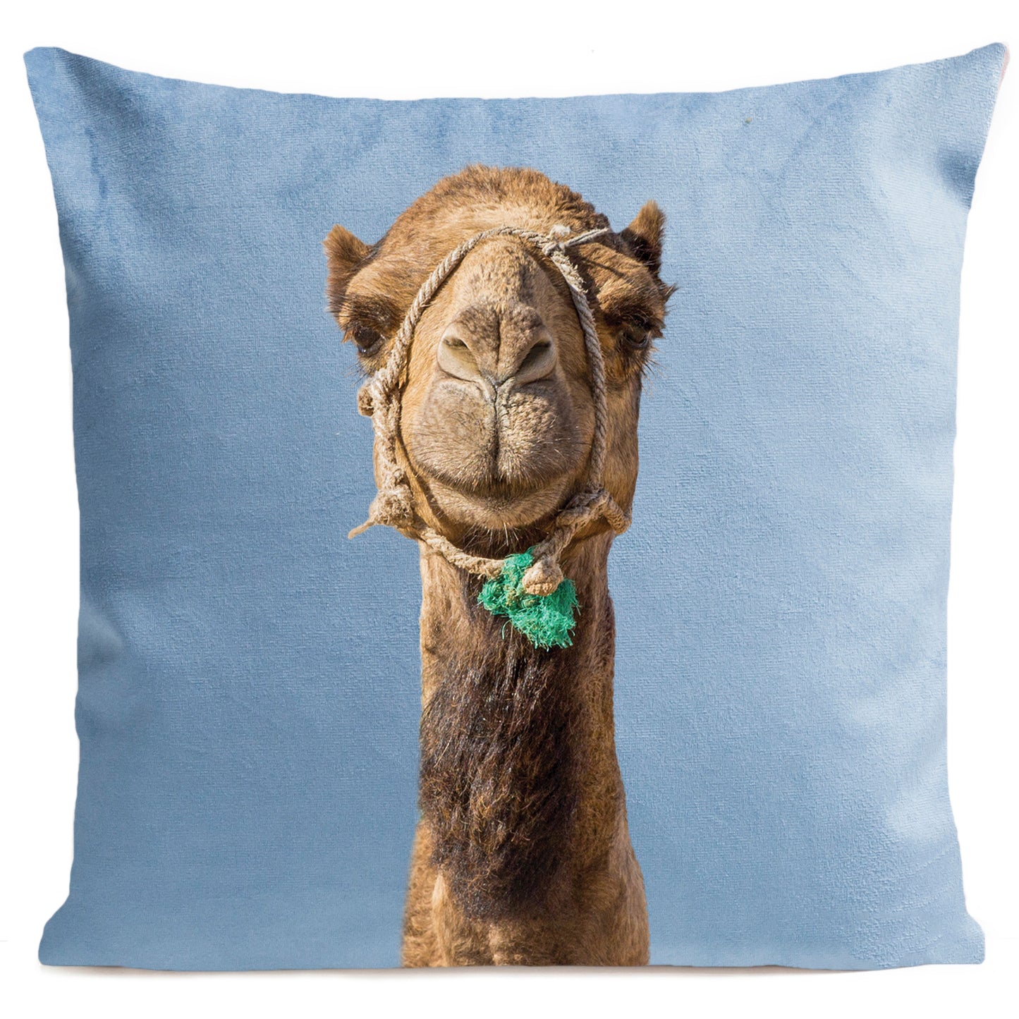 Coussin Smiling Camel