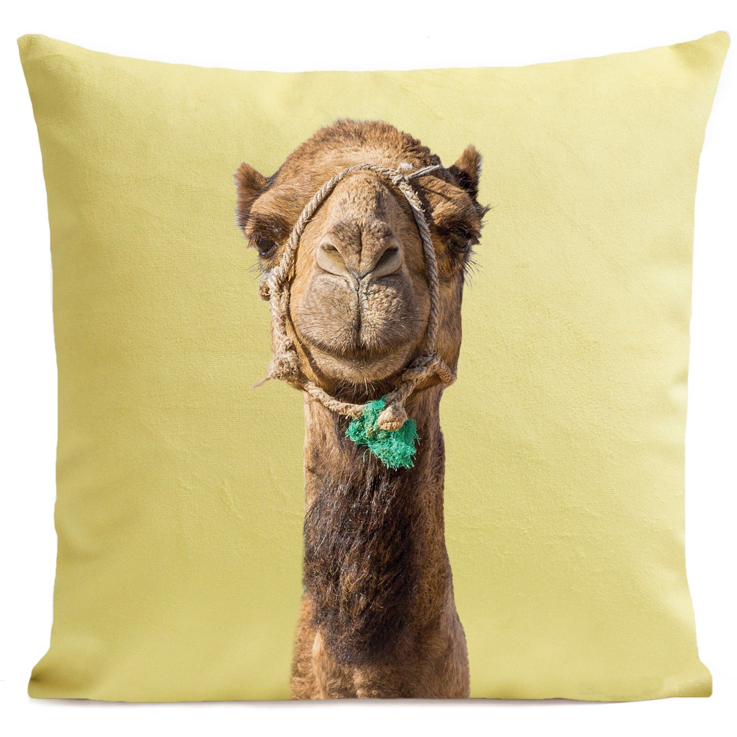 Coussin Smiling Camel